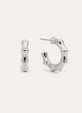 Sugarcane Stainless Steel Hoop Earrings