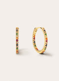 Gleam Colors Gold Earrings