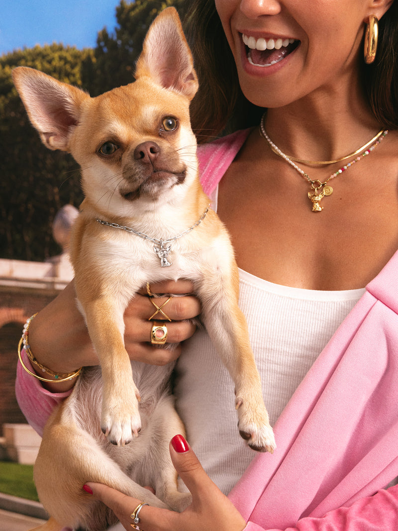 Charm Chihuahua Placcato Oro