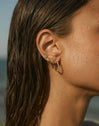 Turtle Gold Single Earring