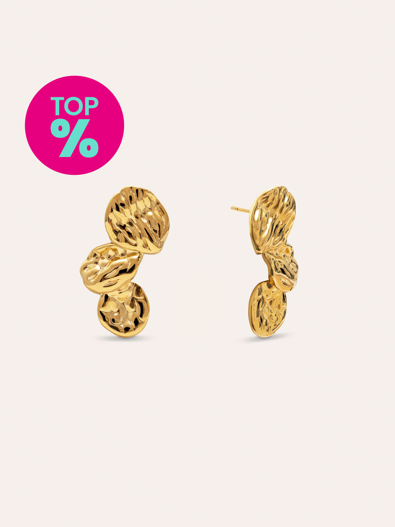 Aurea Stainless Steel Gold Earrings