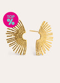 Sunbeam Stainless Steel Gold Earrings
