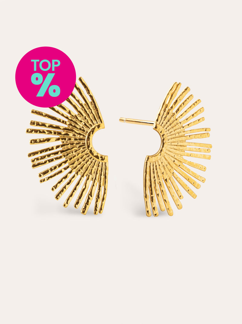Sunbeam Stainless Steel Gold Earrings