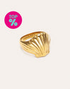 Shelly Ring Steel Gold Plated