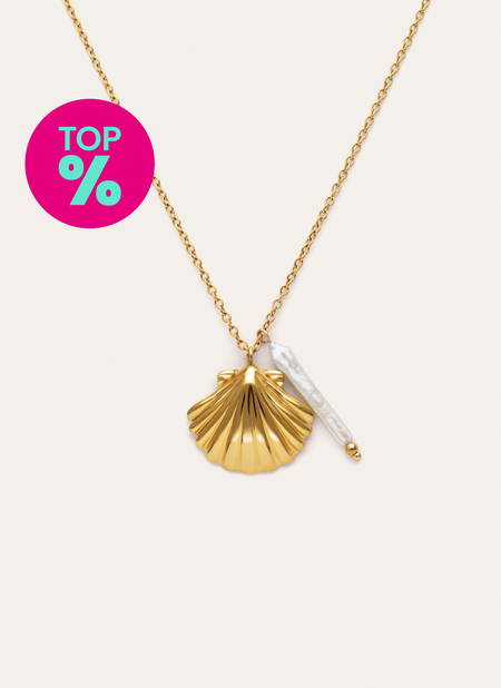 Ketting Irida Staal Verguld met Goud