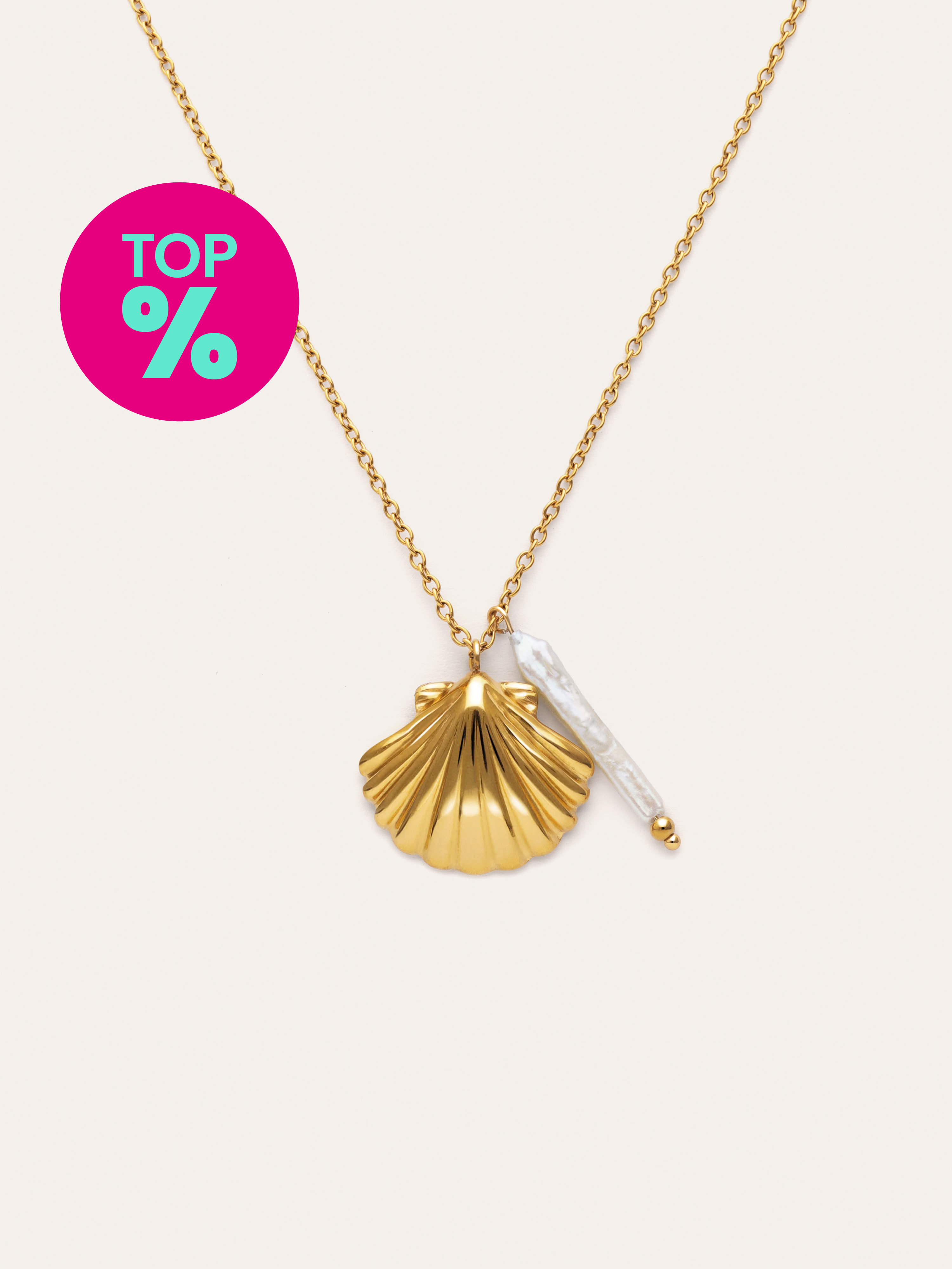 Ketting Irida Staal Verguld met Goud