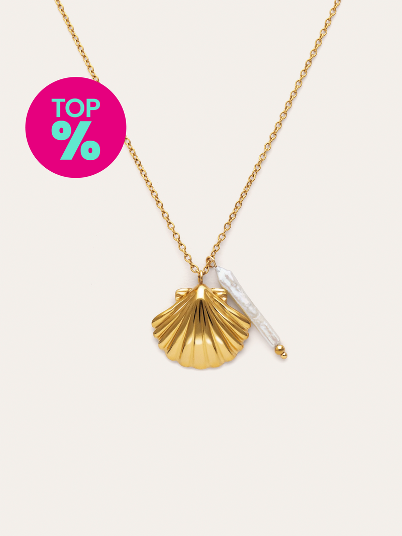 Ketting Irida Staal Verguld met Goud