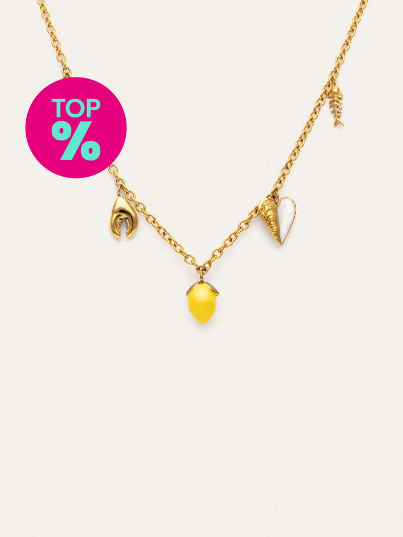Ketting Multicharm Aperitivo Marino Staal Verguld met Goud
