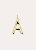 Letter XL Gold Charm