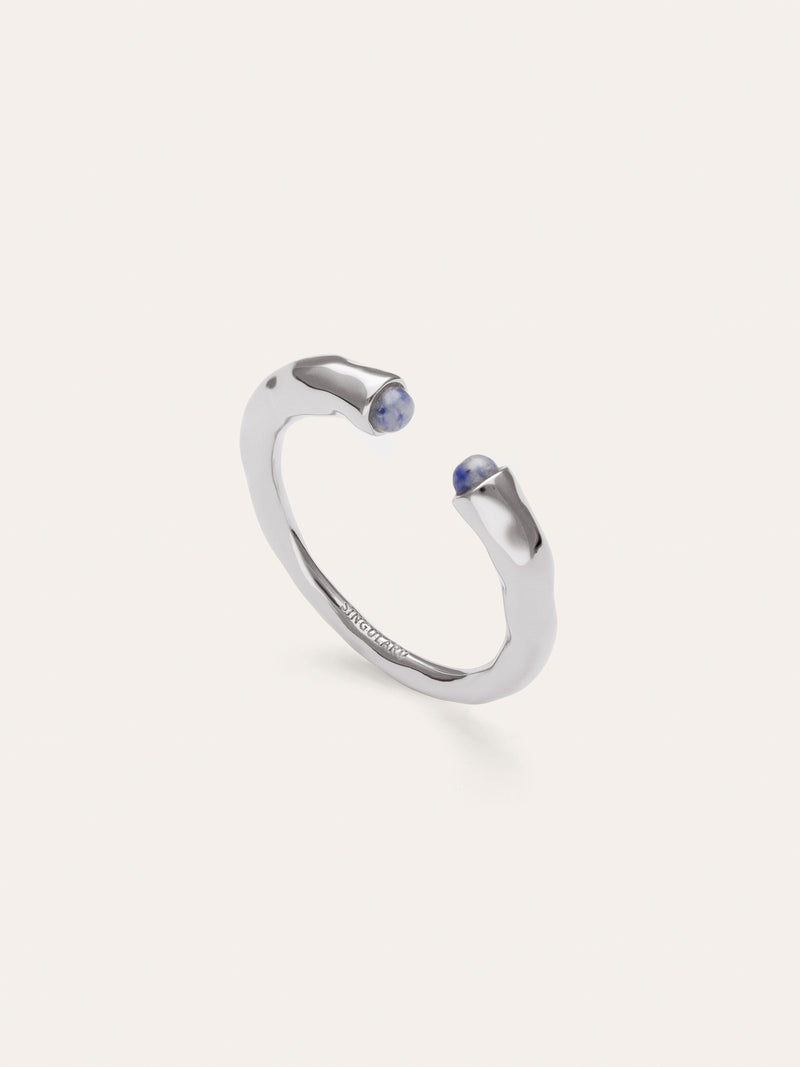 Anillo Cane Cianita