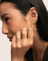 Pack 5 Anillos Nefertiti Acero Baño Oro