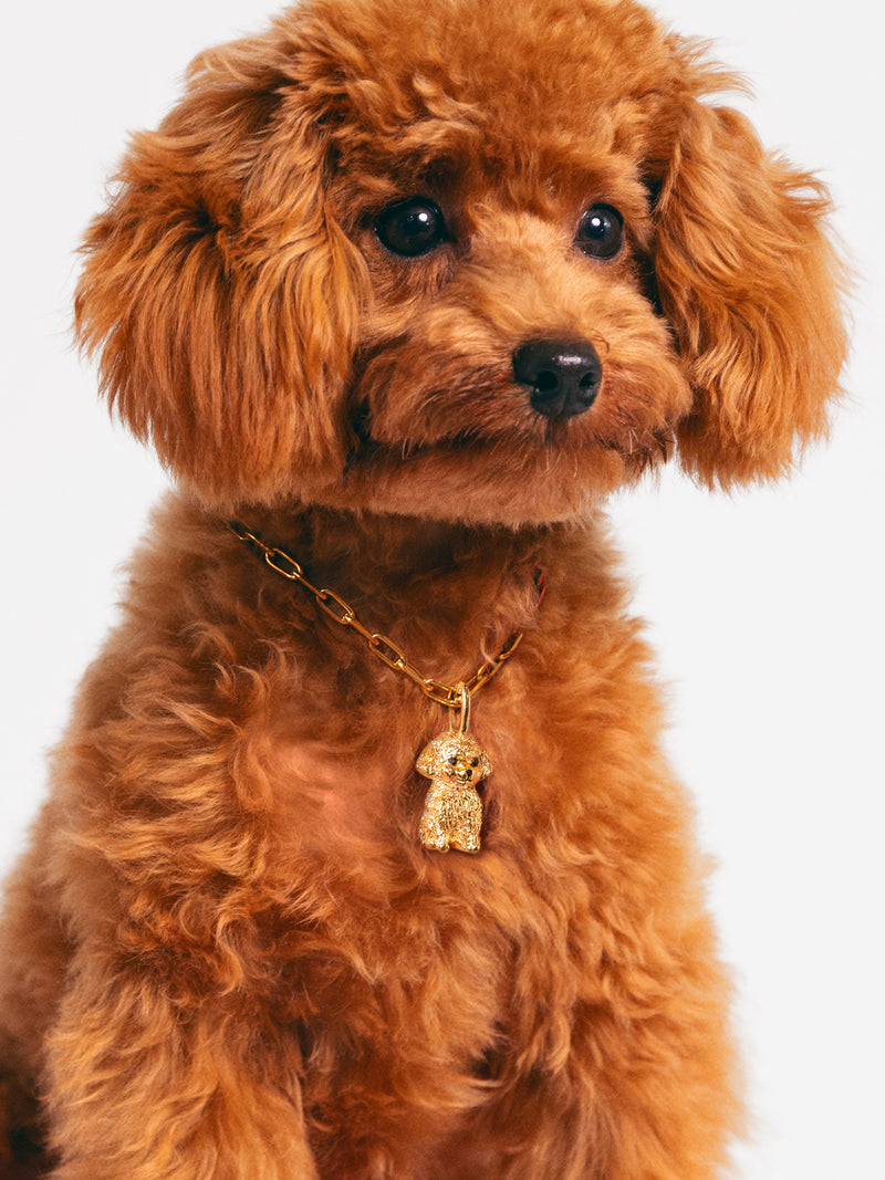 Charm Caniche Toy Plaqué Or
