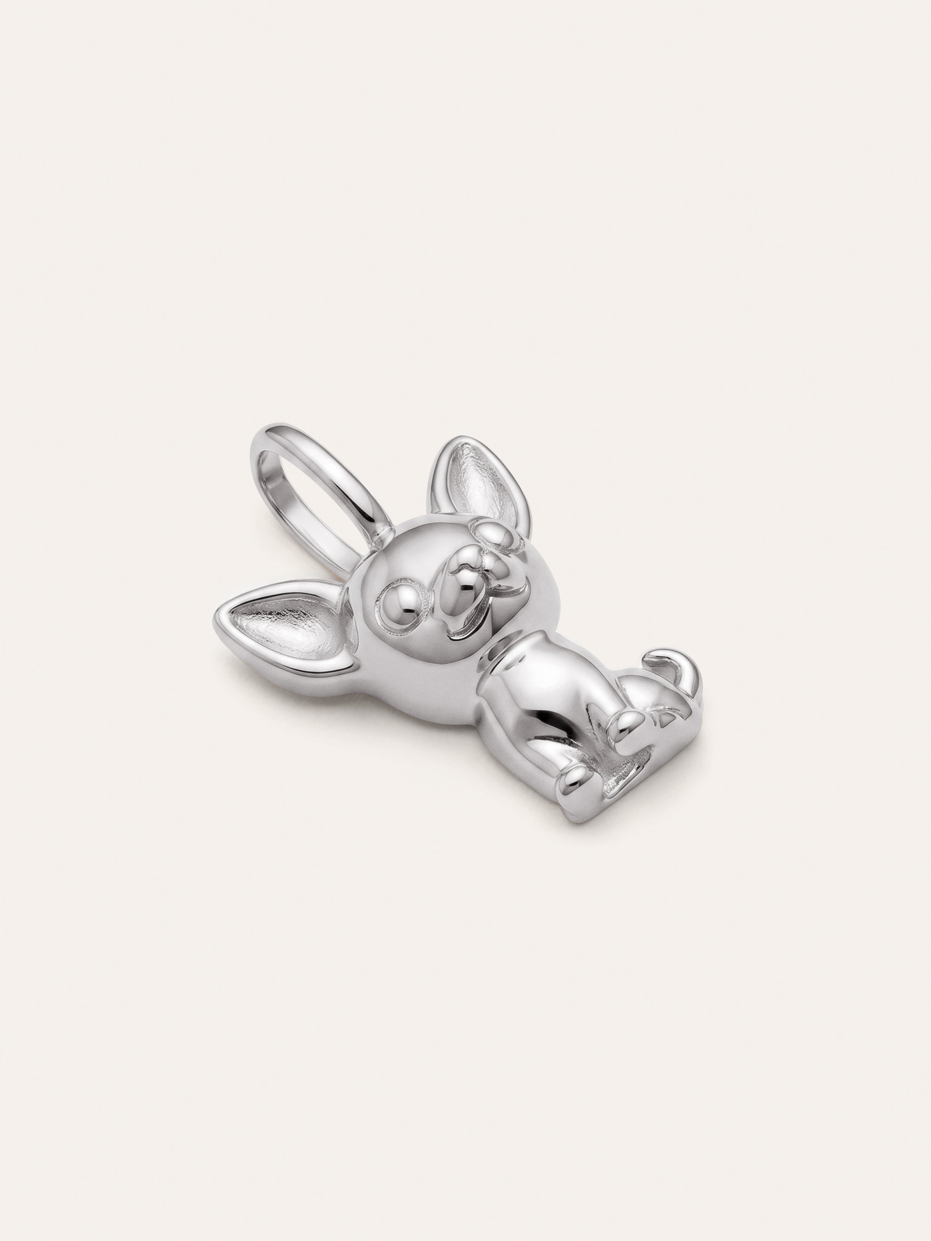 Charm Chihuahua