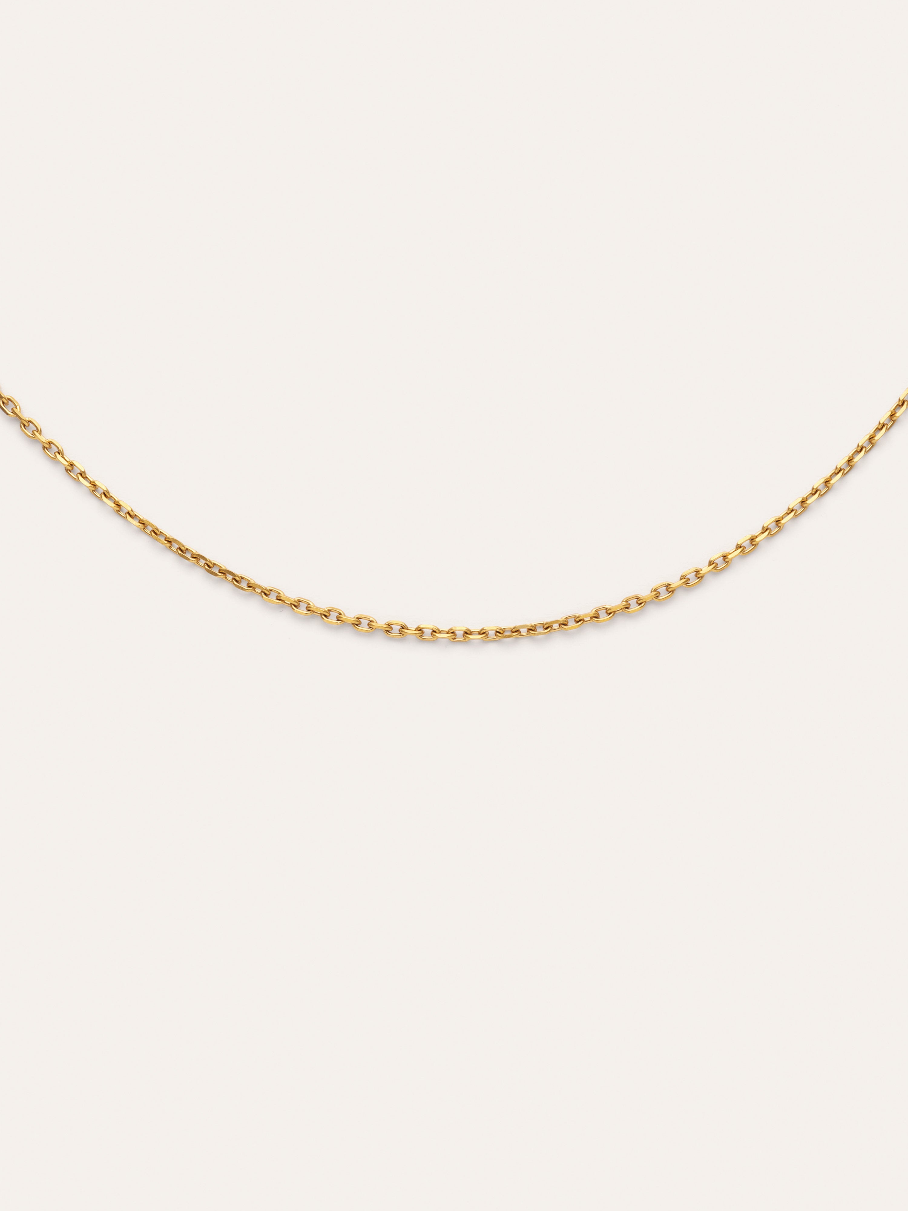 Ana Stainless Steel Gold Necklace