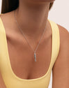 Collar Aqua Fish Acero