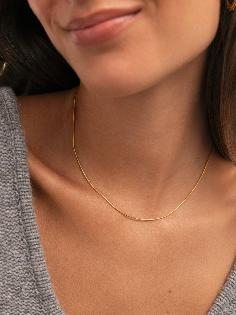 Ketting Tail Staal Verguld met Goud