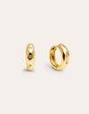 Astra S Gold Earrings 