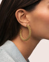 Disco Hoop Stainless Steel Gold Earrings 