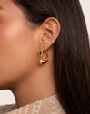 Greta Hoop Stainless Steel Gold Earrings 