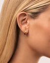 Snake Gold Hoop Earrings 