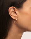 Pendientes Aro Tressia Organic Acero Baño Oro