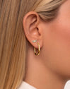 Bossa Stainless Steel Gold  Earrings