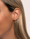 Dana Dots Stainless Steel Gold Earrings