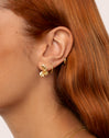 Single Hoop Earring Klein Spark M Gold Plated