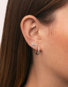 Boucle D’oreille à L’unité Fishbone Spark