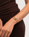 Armband van kyaniet, staal, verguld met goud