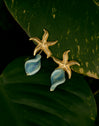 Pendientes Starfish Wave Acero Baño Oro