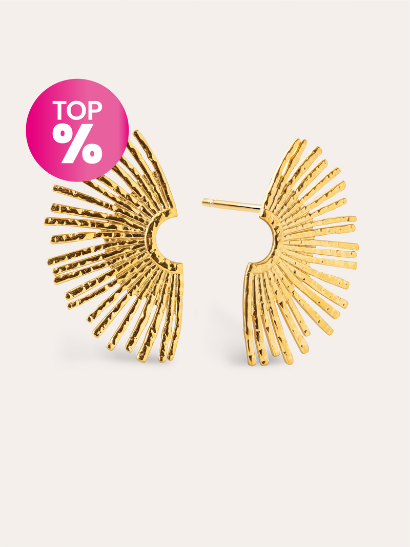 Boucles D'oreilles Sunbeam Acier Plaqué Or