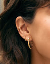Mini Paw Gold Single Earring