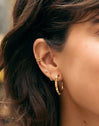 Claw Gold Ear Cuff Single Earring